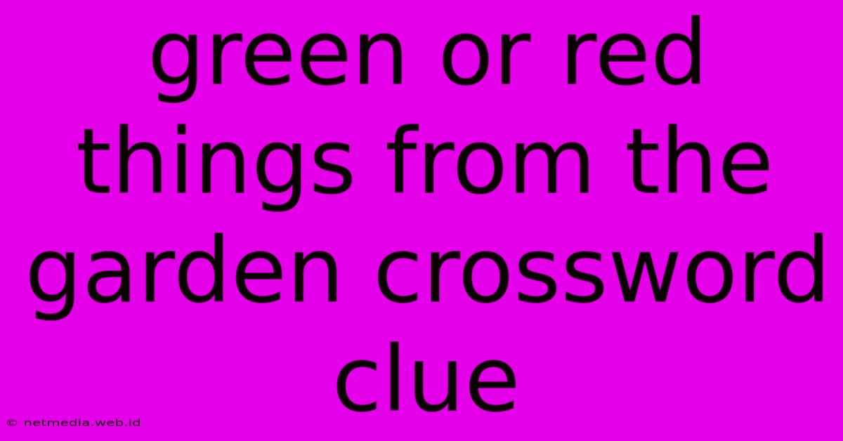 Green Or Red Things From The Garden Crossword Clue