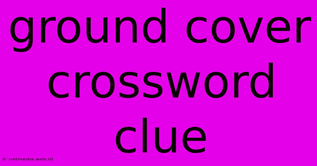 Ground Cover Crossword Clue