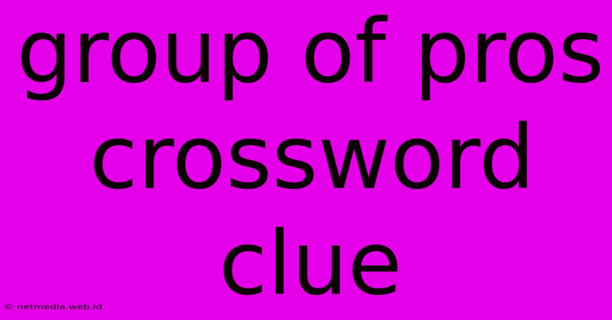 Group Of Pros Crossword Clue