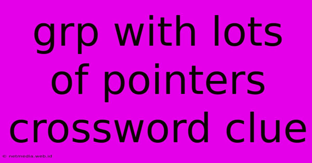 Grp With Lots Of Pointers Crossword Clue