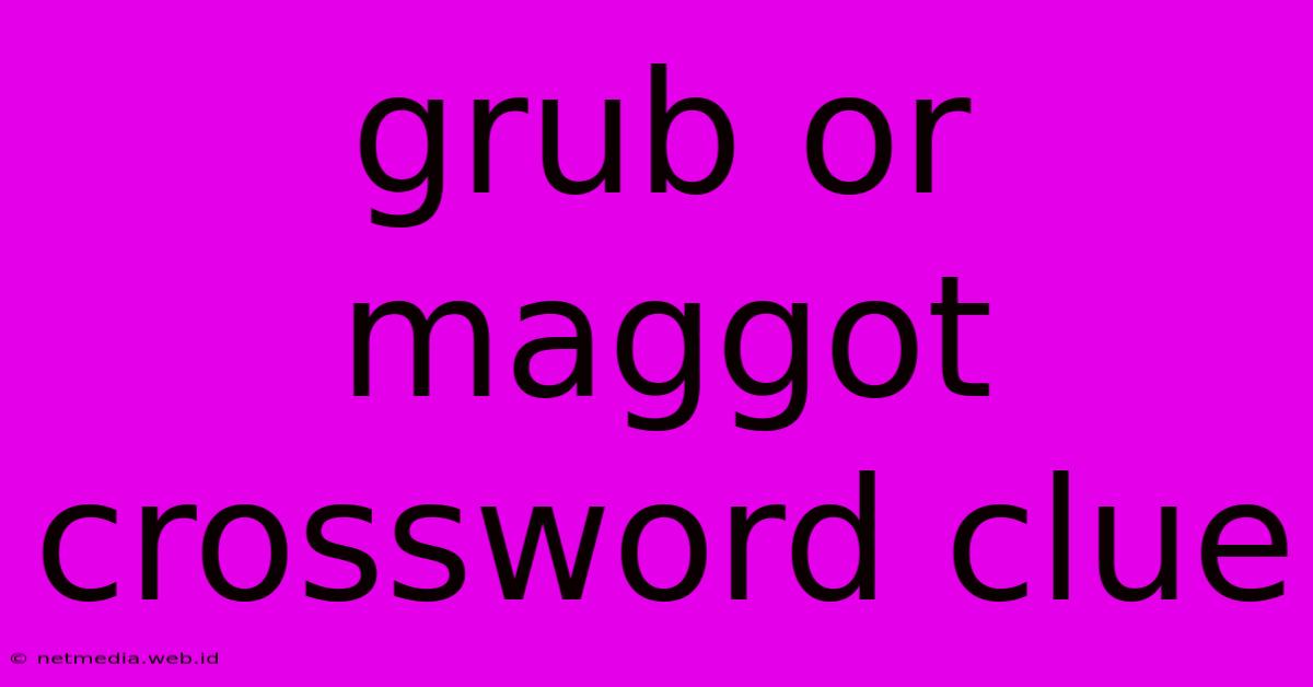 Grub Or Maggot Crossword Clue