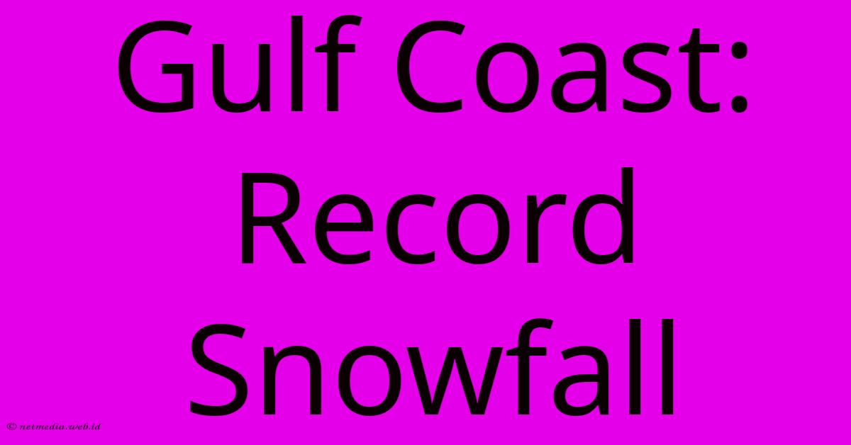 Gulf Coast: Record Snowfall