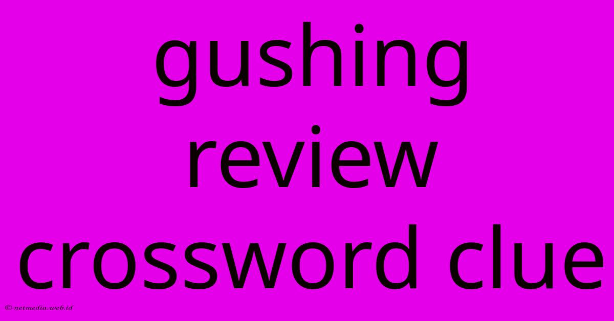 Gushing Review Crossword Clue Gushing Review Crossword Clue