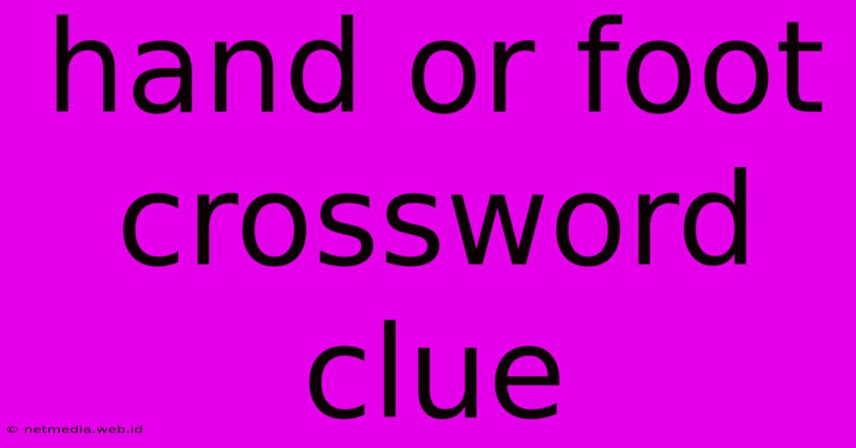 Hand Or Foot Crossword Clue