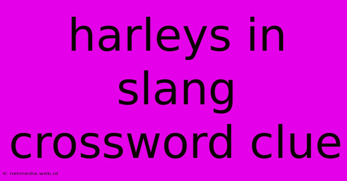 Harleys In Slang Crossword Clue