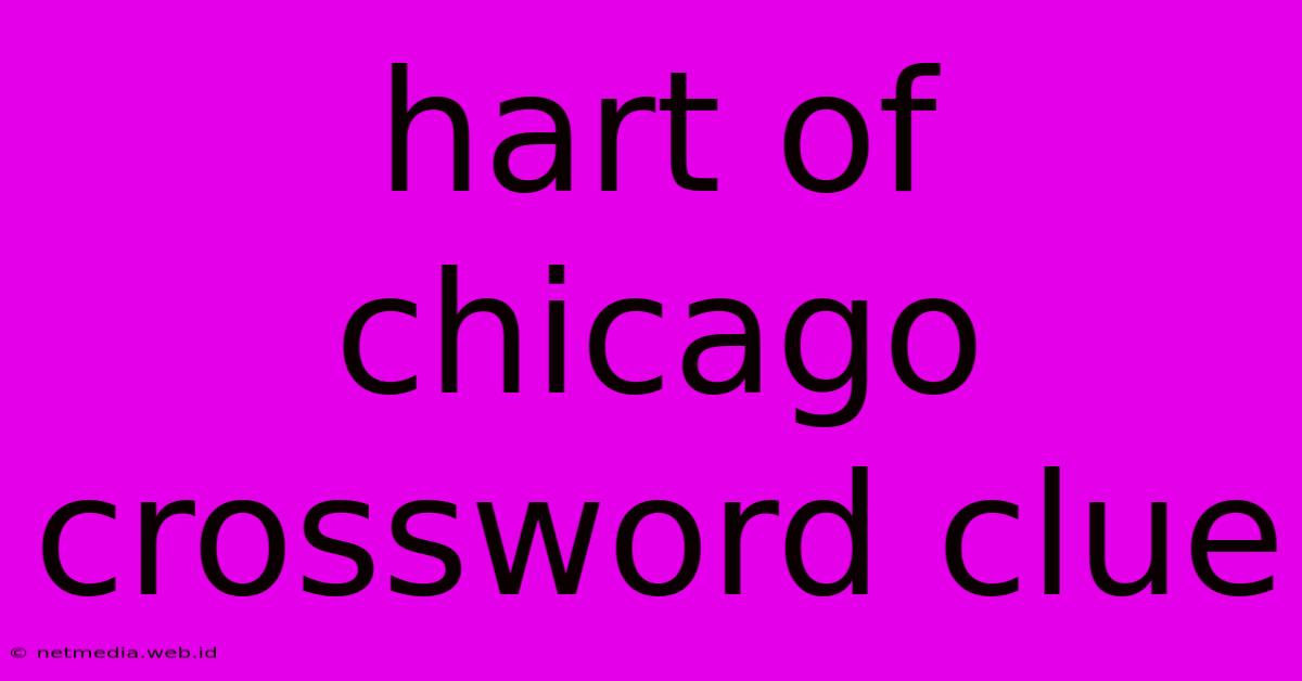 Hart Of Chicago Crossword Clue