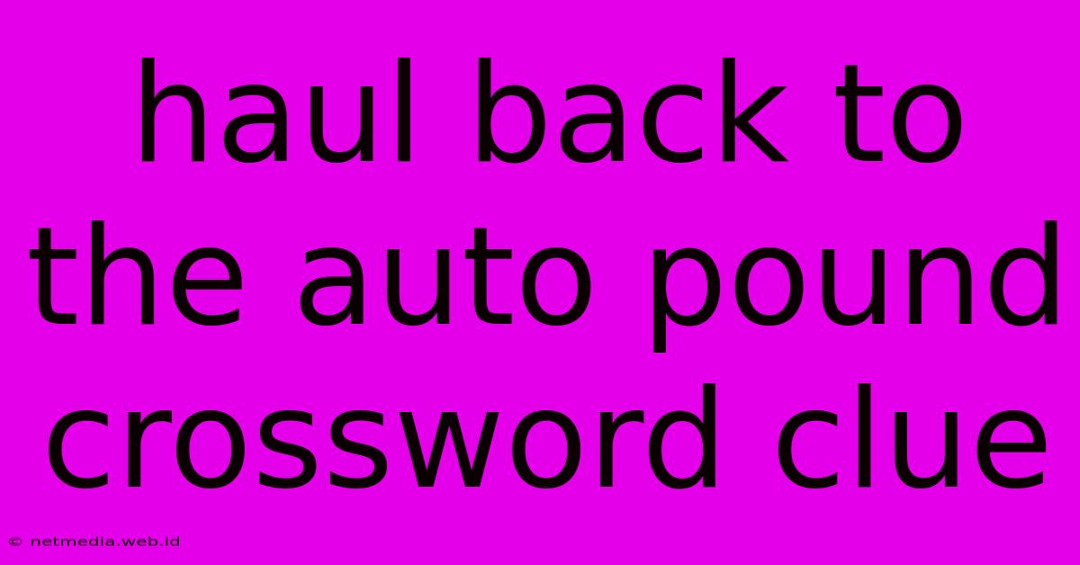 Haul Back To The Auto Pound Crossword Clue