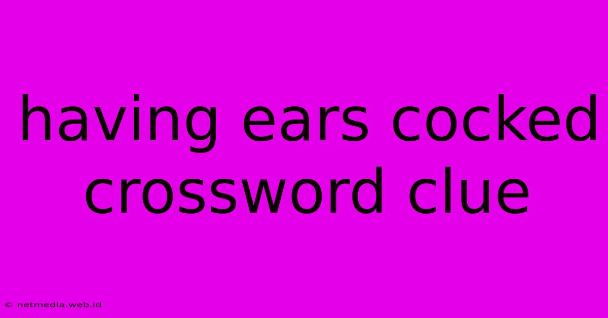 Having Ears Cocked Crossword Clue