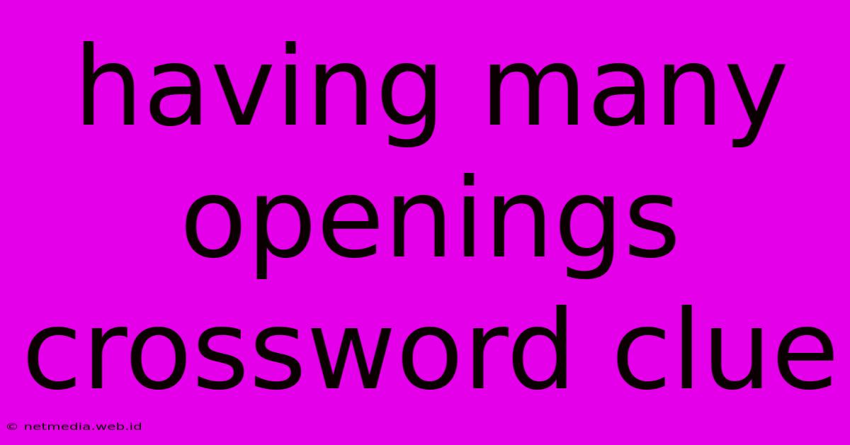 Having Many Openings Crossword Clue