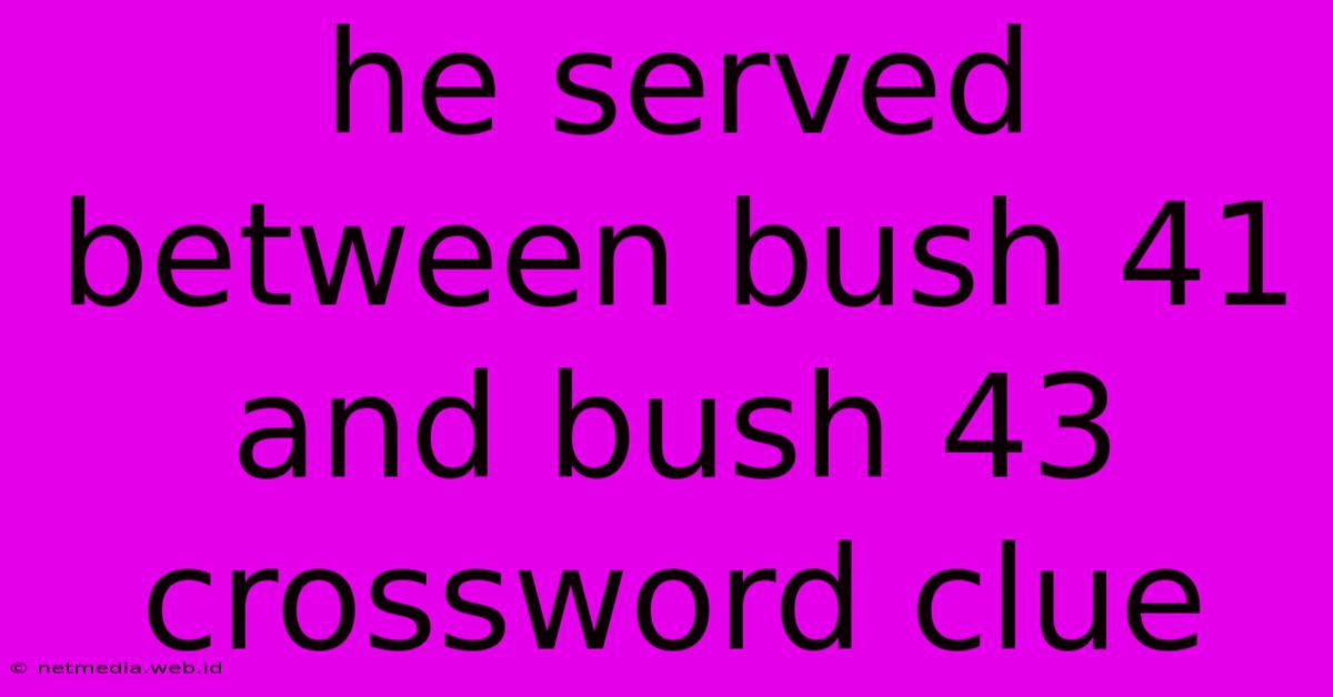 He Served Between Bush 41 And Bush 43 Crossword Clue