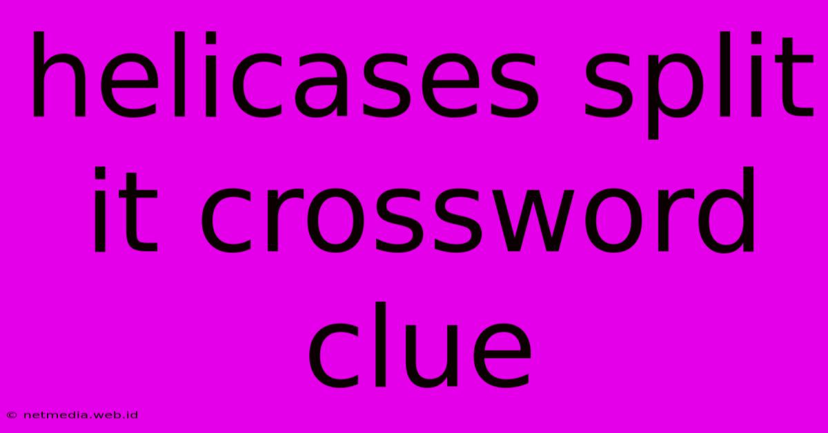 Helicases Split It Crossword Clue