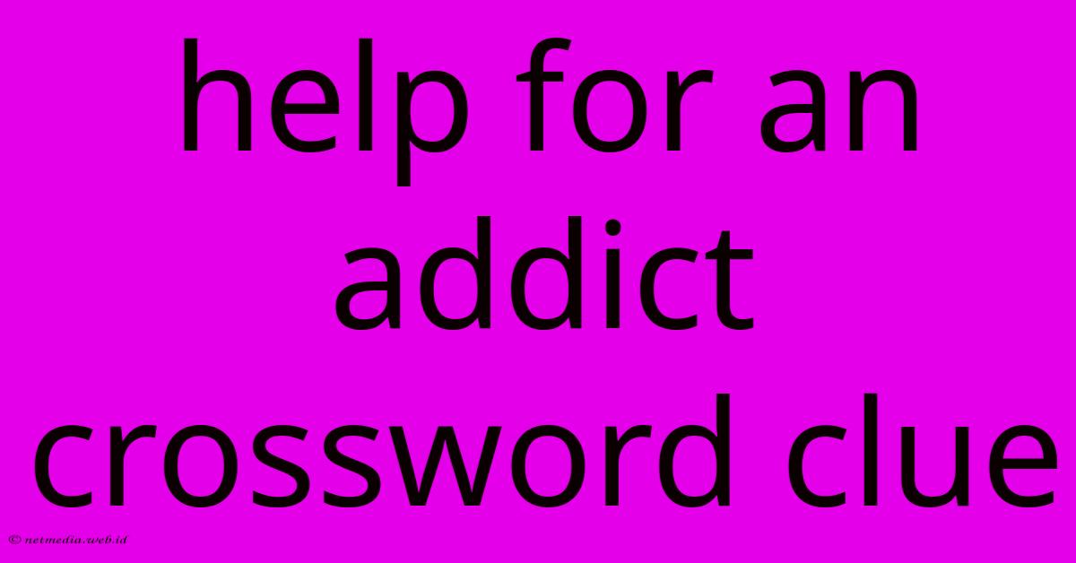 Help For An Addict Crossword Clue