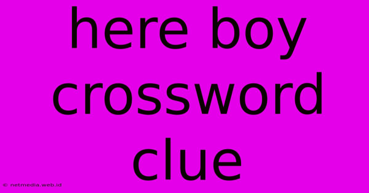 Here Boy Crossword Clue