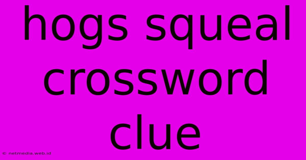 Hogs Squeal Crossword Clue