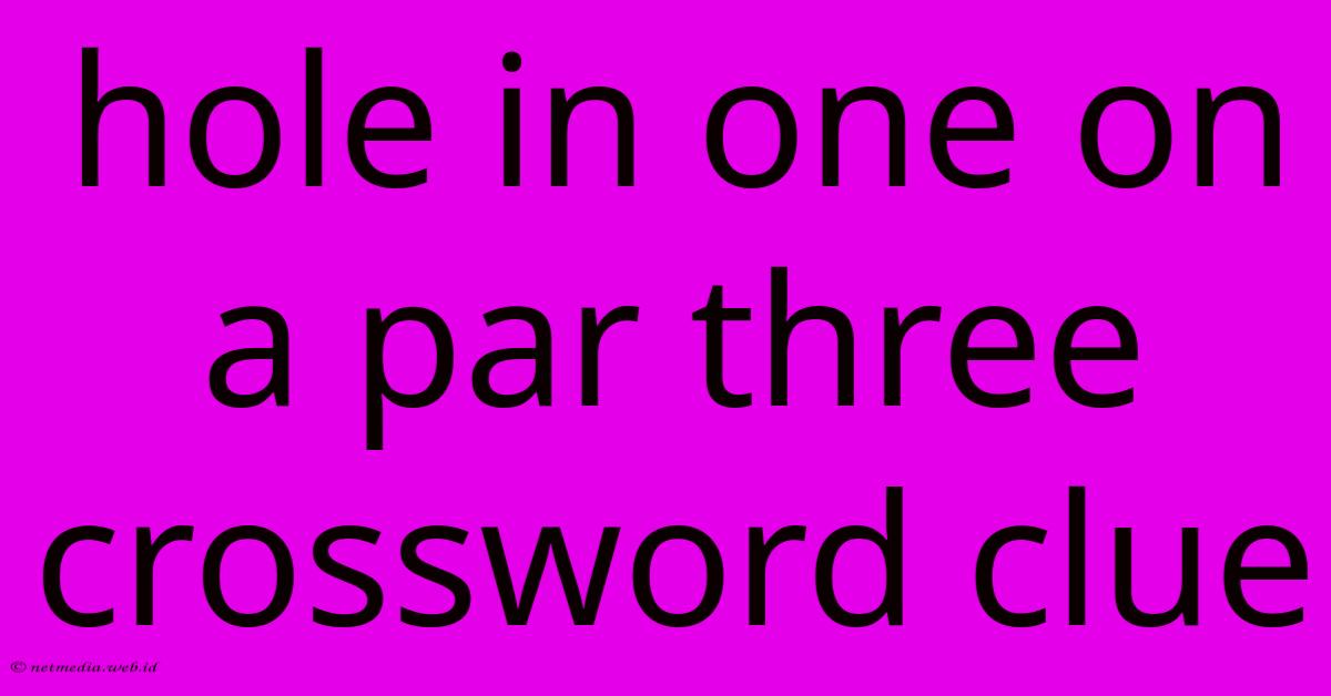 Hole In One On A Par Three Crossword Clue