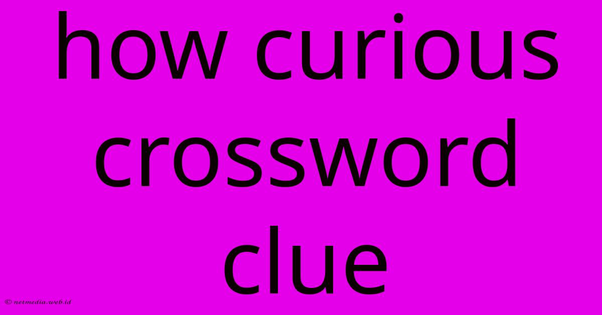 How Curious Crossword Clue How Curious Crossword Clue