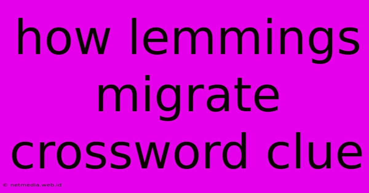 How Lemmings Migrate Crossword Clue