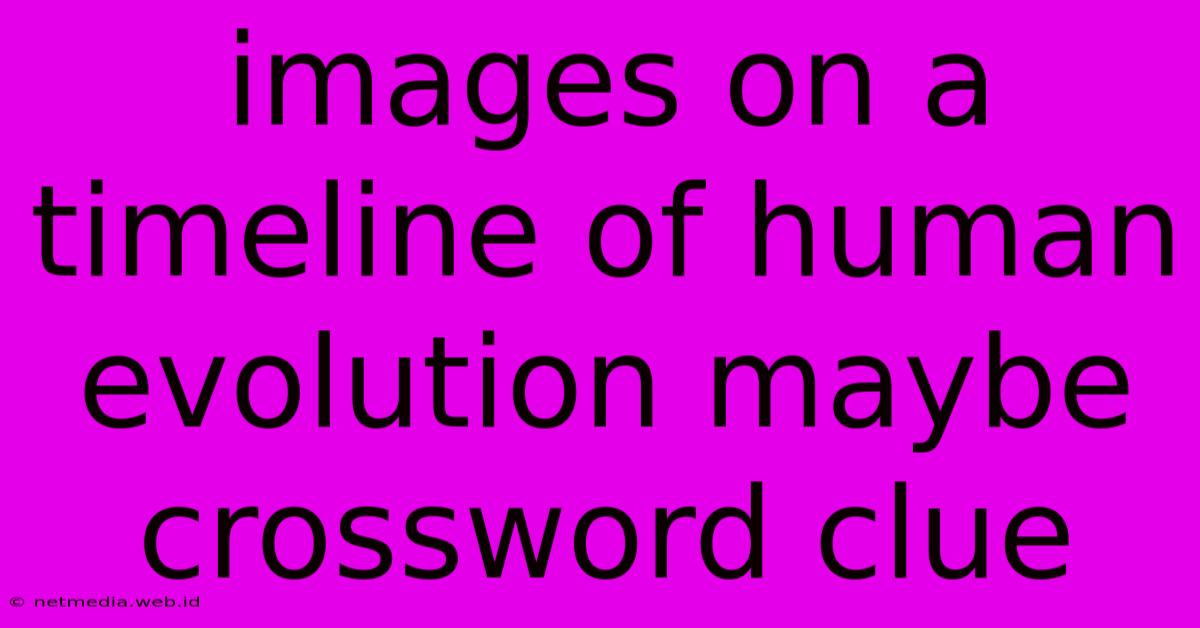 Images On A Timeline Of Human Evolution Maybe Crossword Clue