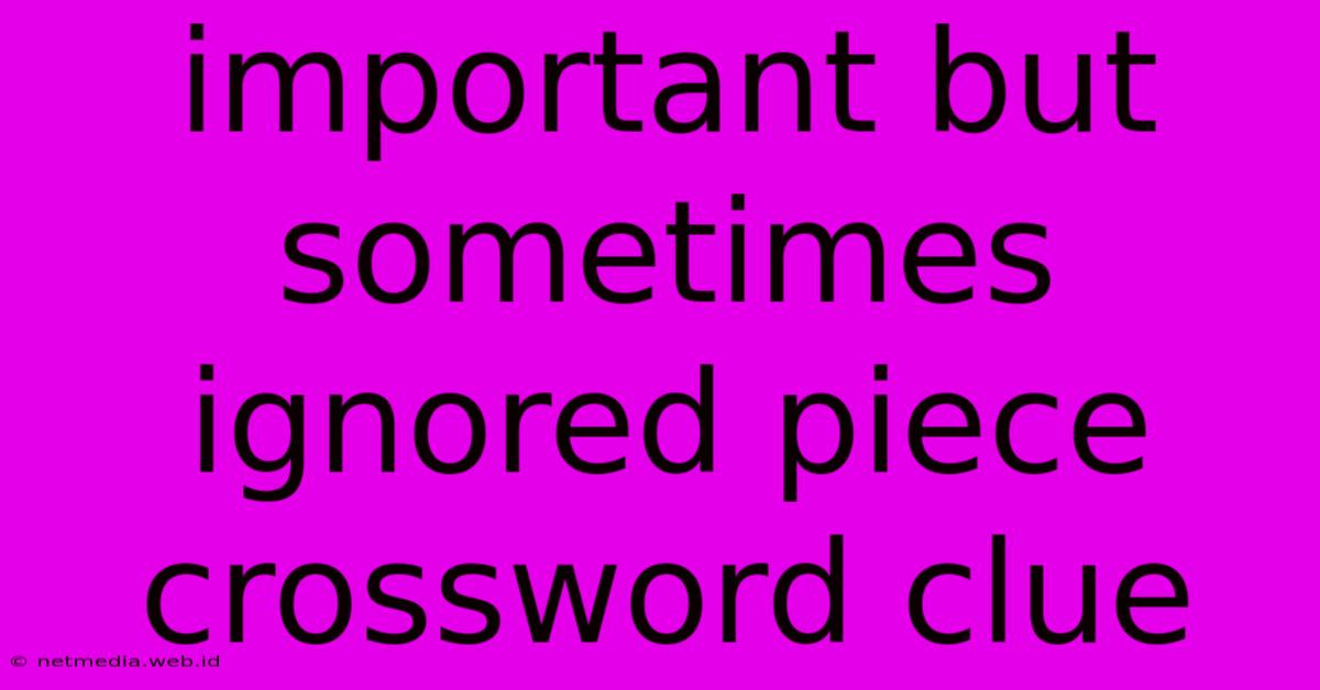 Important But Sometimes Ignored Piece Crossword Clue