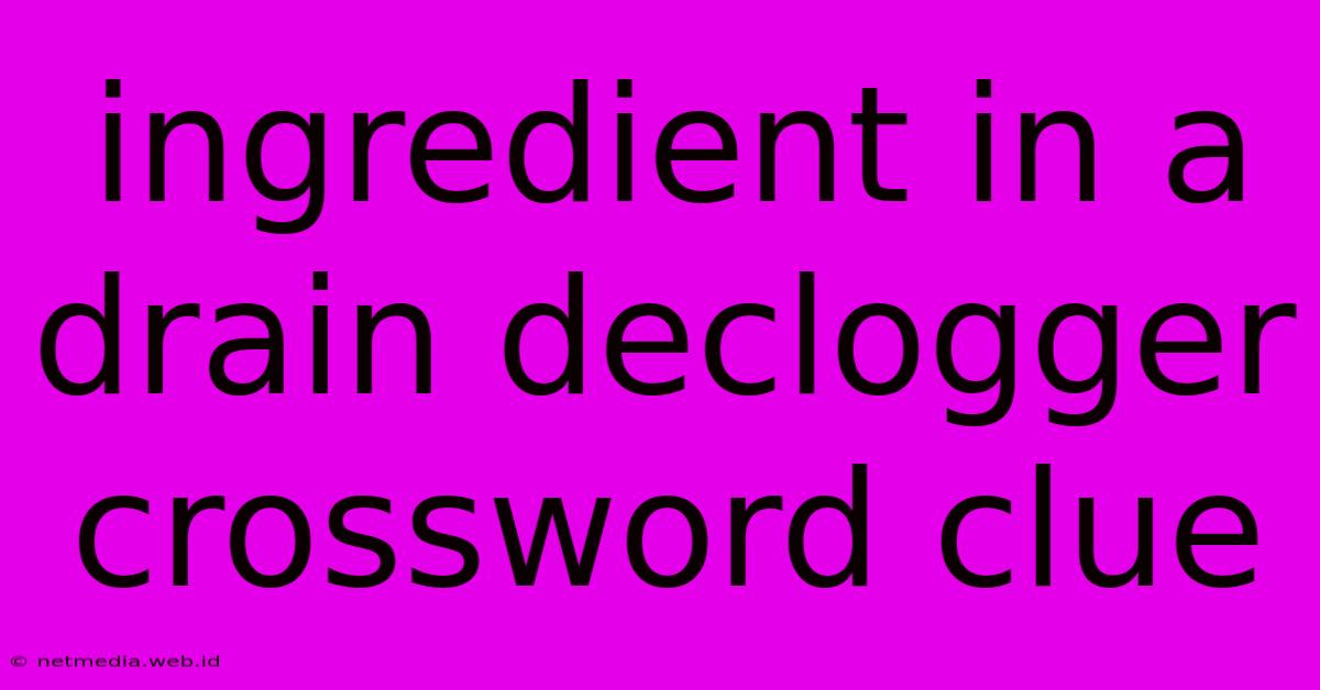 Ingredient In A Drain Declogger Crossword Clue