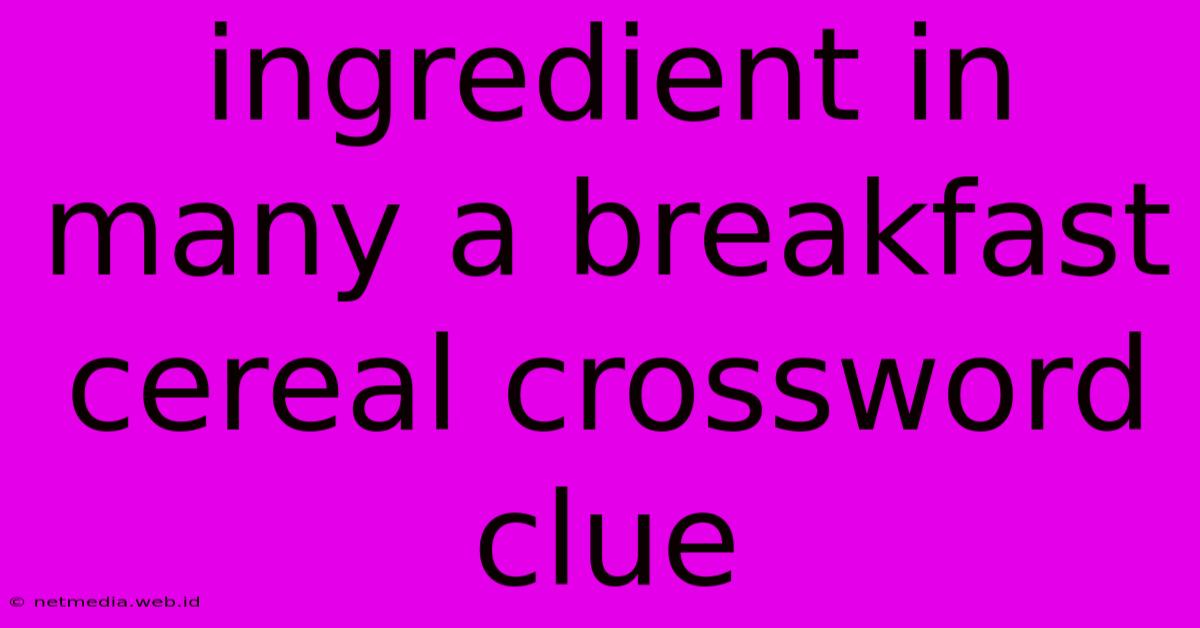 Ingredient In Many A Breakfast Cereal Crossword Clue