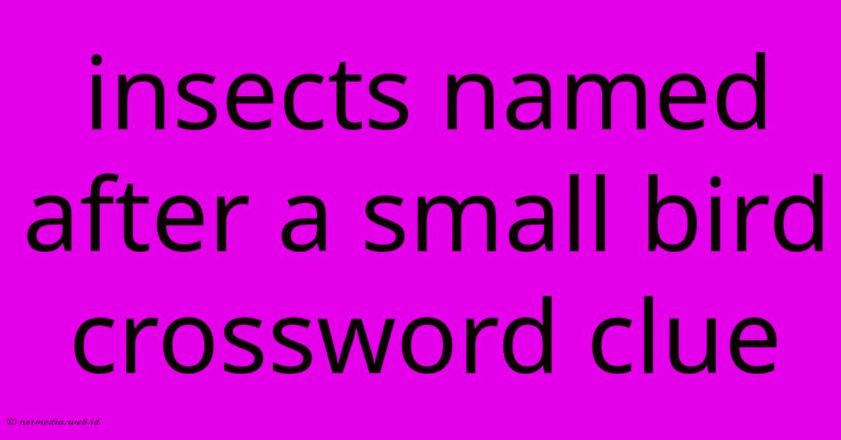 Insects Named After A Small Bird Crossword Clue Insects Named After A Small Bird Crossword Clue