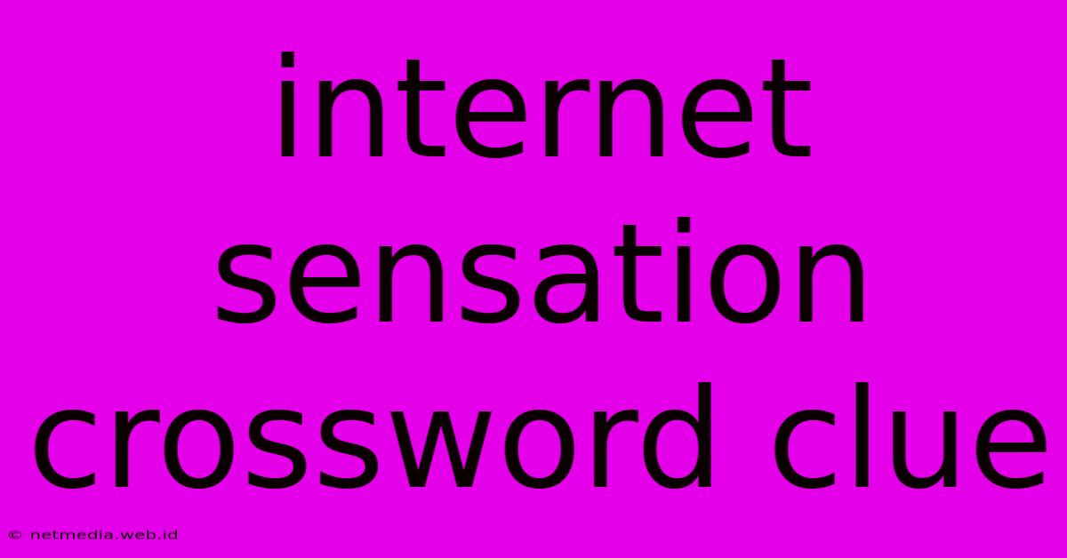 Internet Sensation Crossword Clue