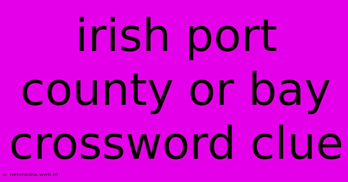 Irish Port County Or Bay Crossword Clue