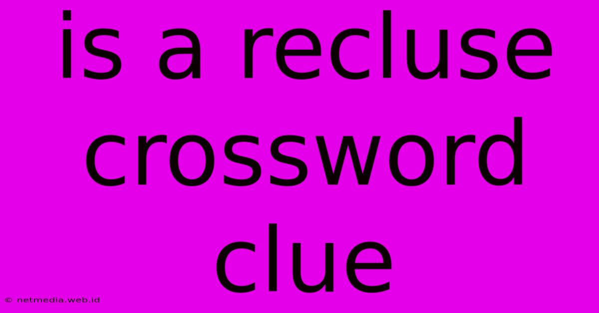 Is A Recluse Crossword Clue