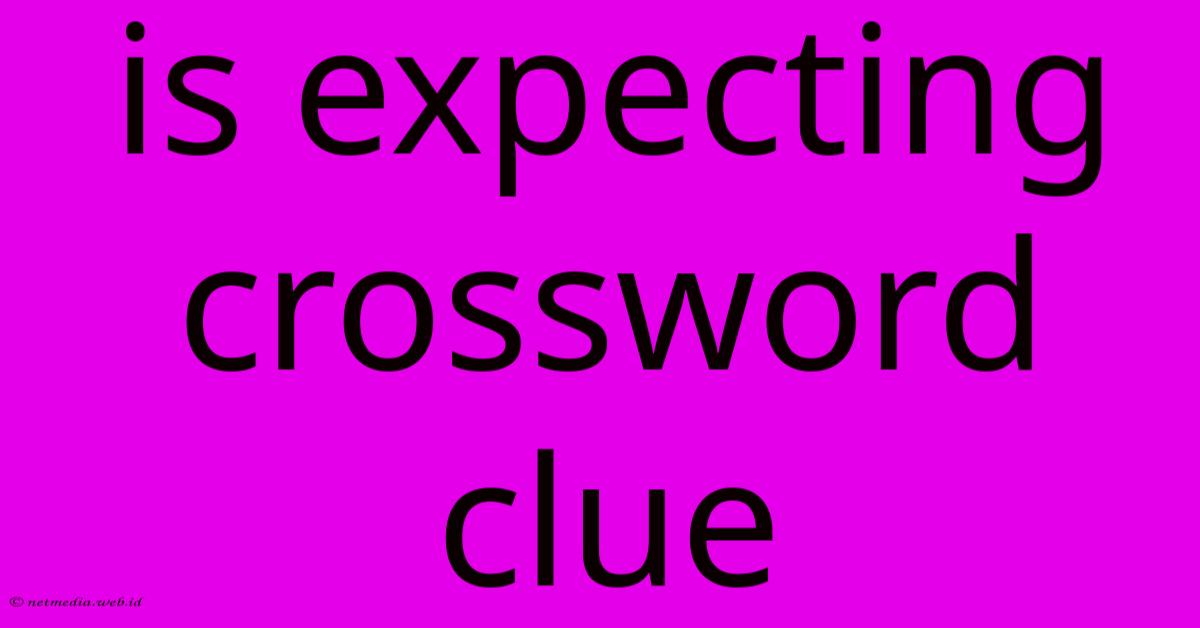 Is Expecting Crossword Clue