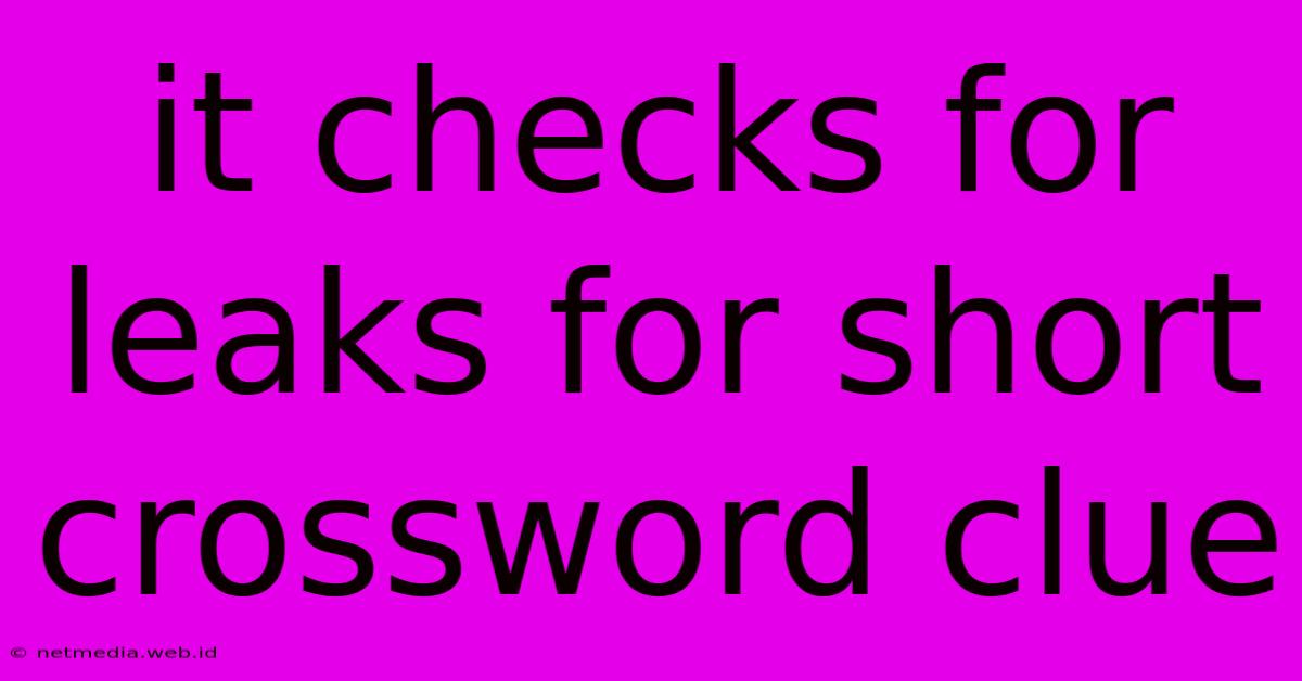 It Checks For Leaks For Short Crossword Clue