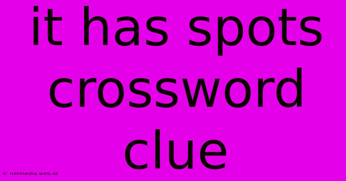 It Has Spots Crossword Clue