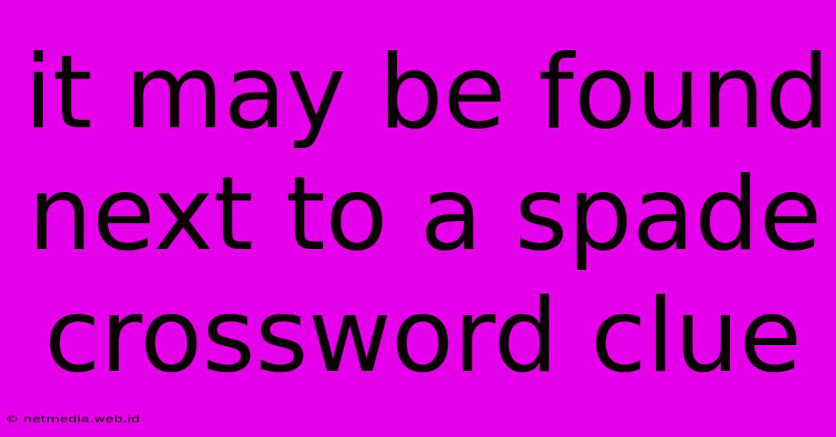 It May Be Found Next To A Spade Crossword Clue