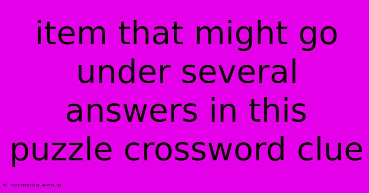 Item That Might Go Under Several Answers In This Puzzle Crossword Clue