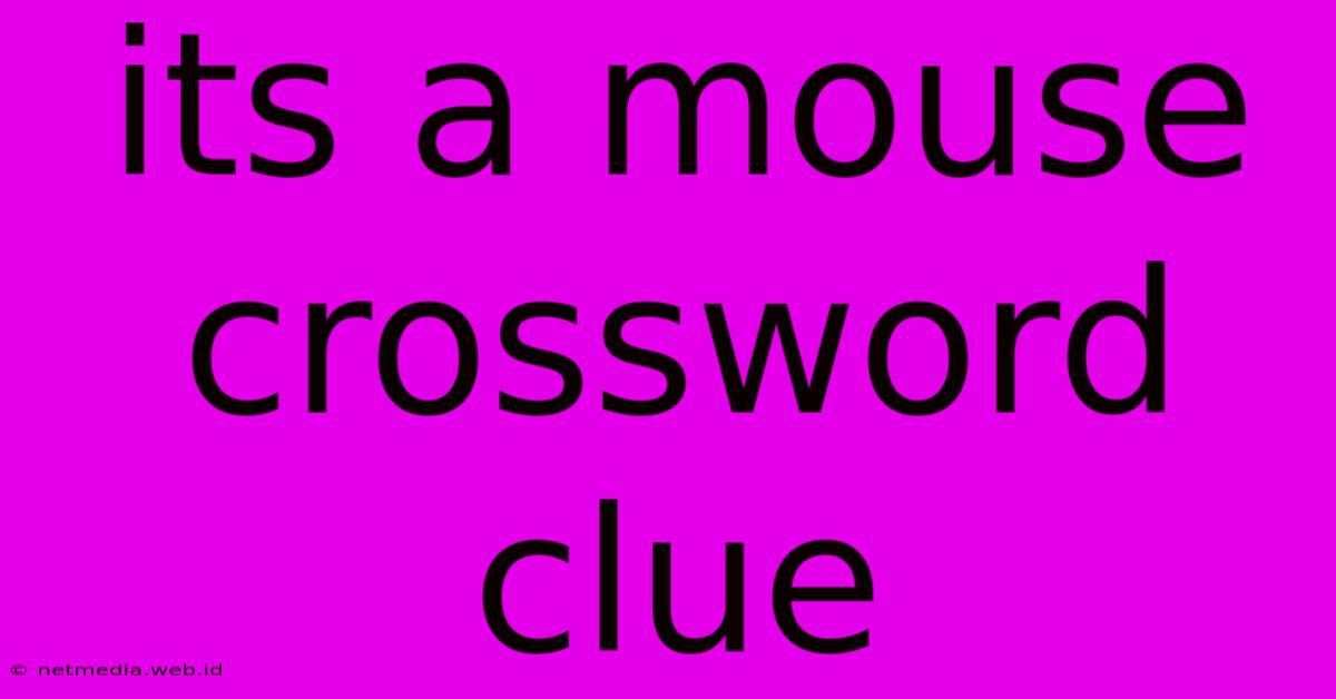 Its A Mouse Crossword Clue