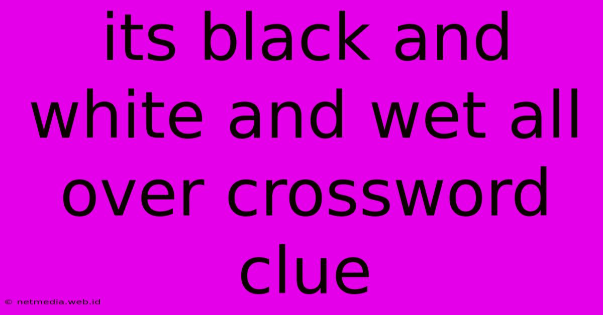 Its Black And White And Wet All Over Crossword Clue