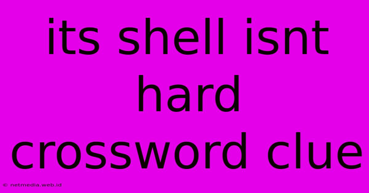 Its Shell Isnt Hard Crossword Clue