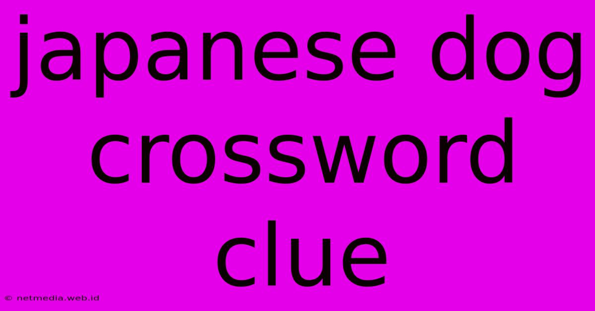 Japanese Dog Crossword Clue