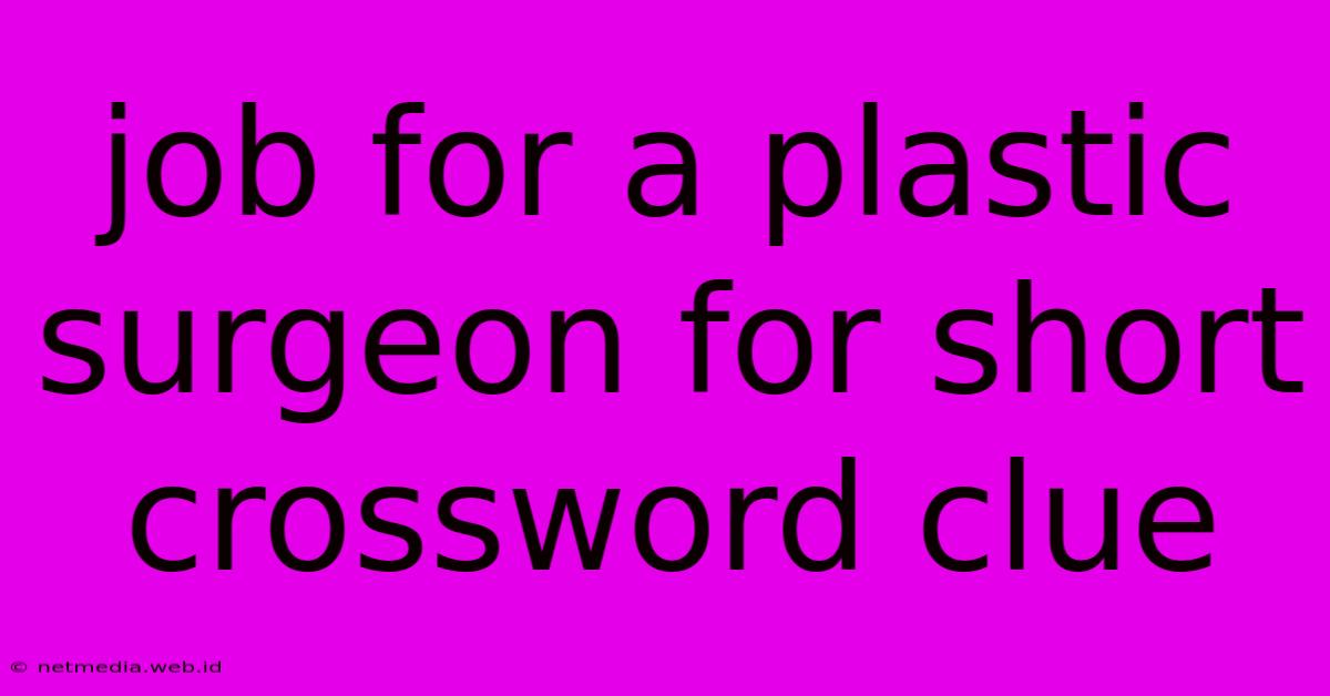 Job For A Plastic Surgeon For Short Crossword Clue