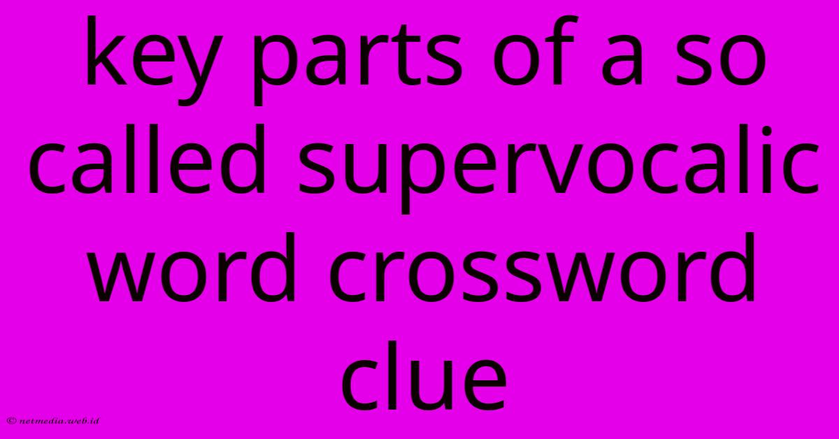 Key Parts Of A So Called Supervocalic Word Crossword Clue Key Parts Of A So Called Supervocalic Word Crossword Clue