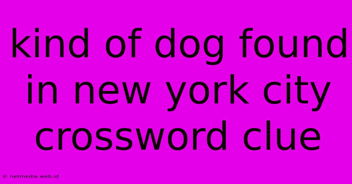 Kind Of Dog Found In New York City Crossword Clue