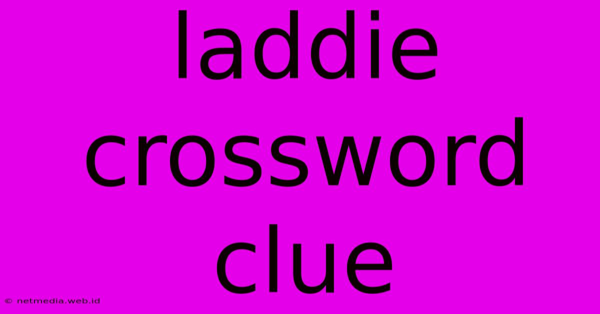 Laddie Crossword Clue