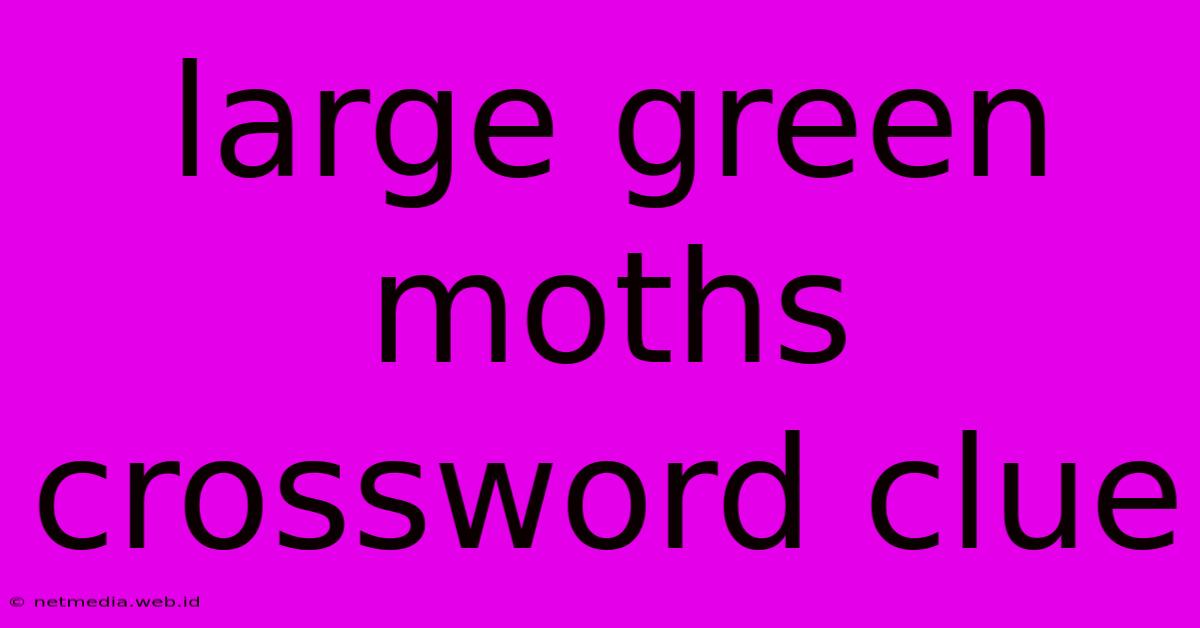 Large Green Moths Crossword Clue