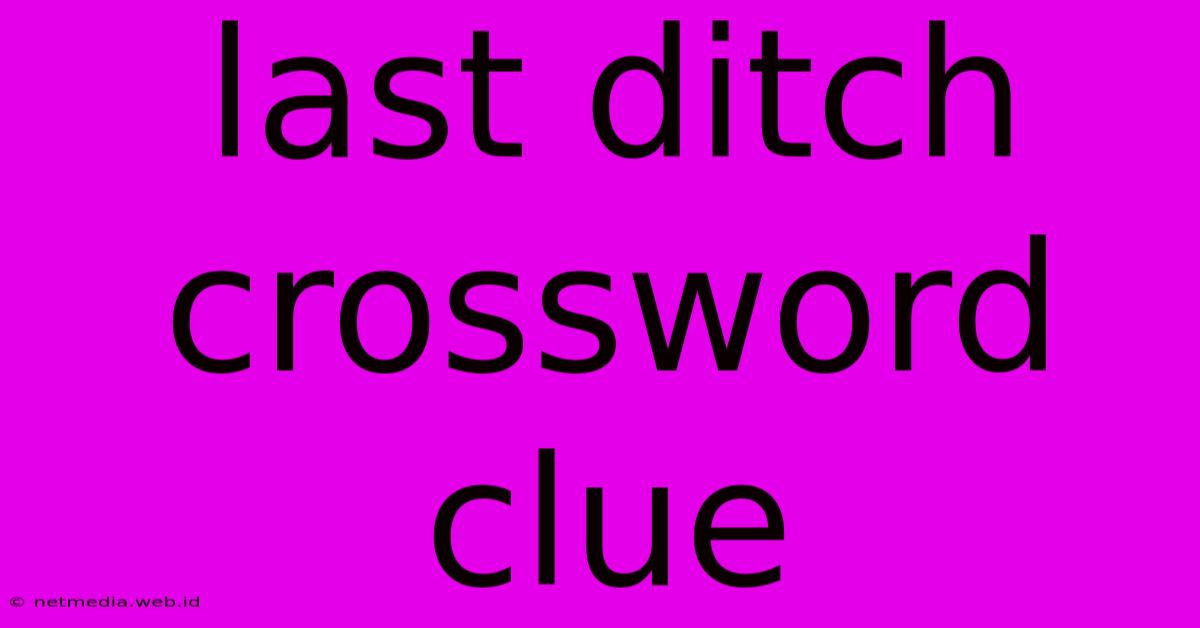 Last Ditch Crossword Clue