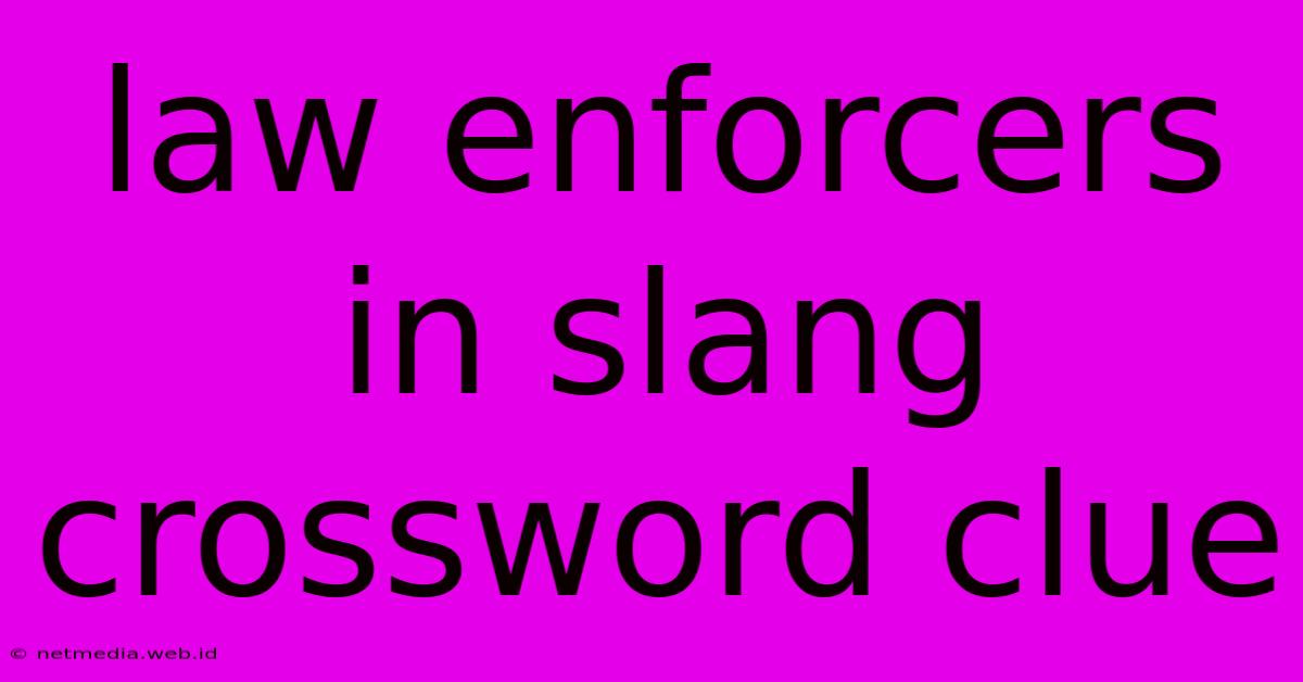 Law Enforcers In Slang Crossword Clue