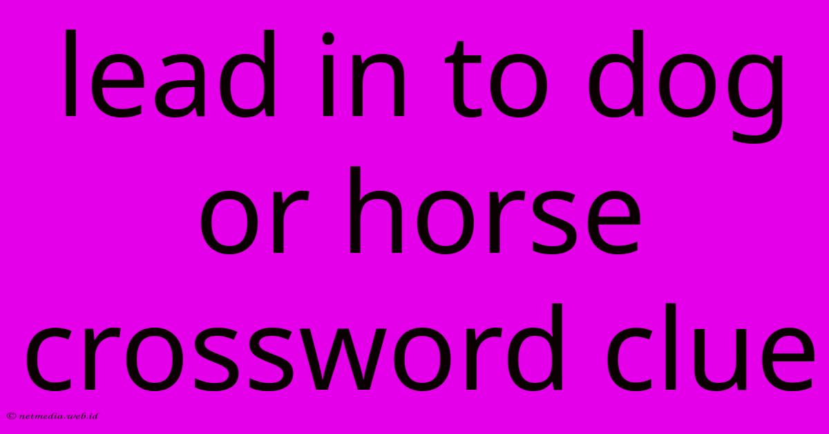 Lead In To Dog Or Horse Crossword Clue