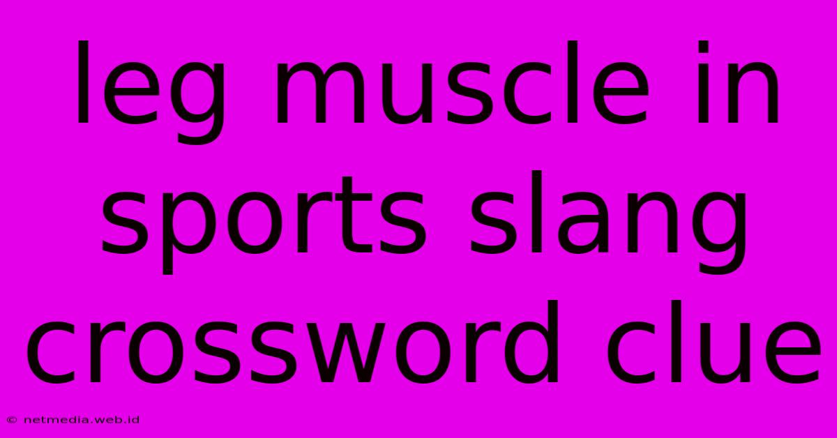 Leg Muscle In Sports Slang Crossword Clue