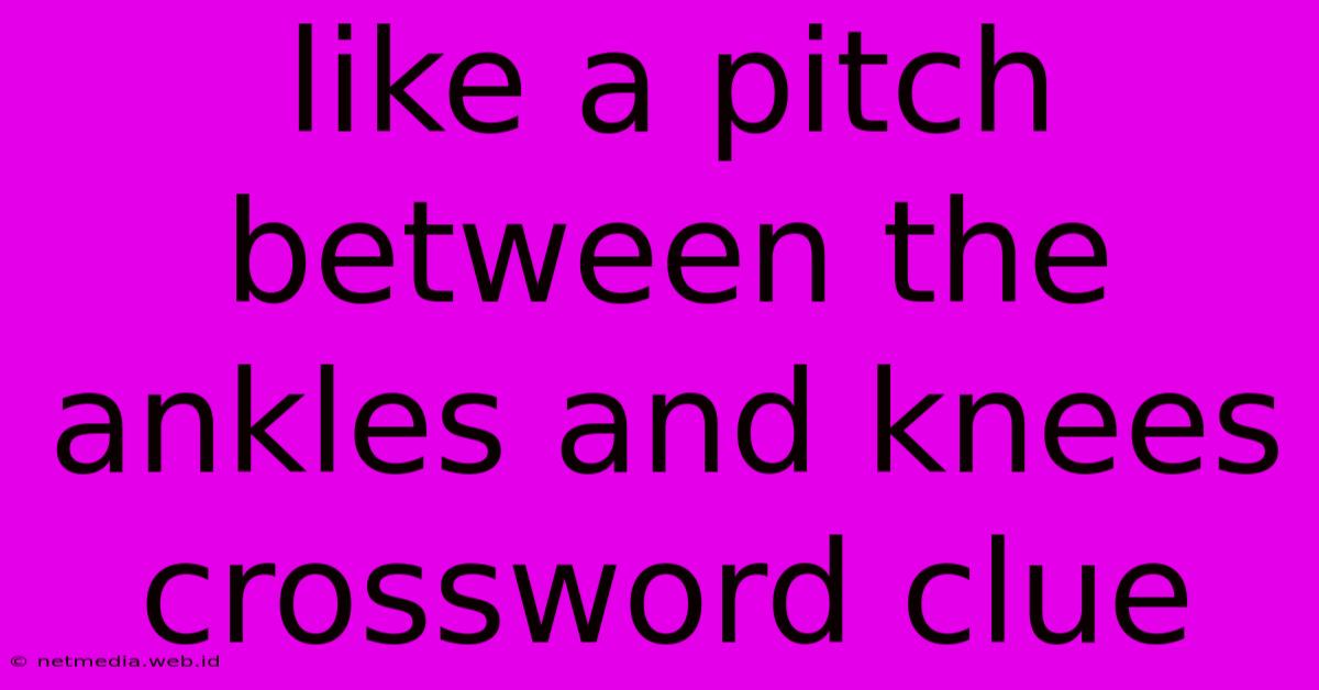 Like A Pitch Between The Ankles And Knees Crossword Clue