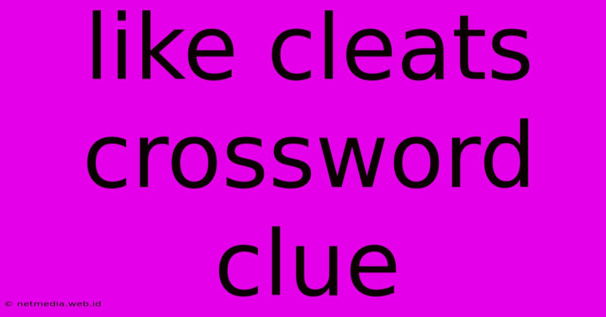 Like Cleats Crossword Clue