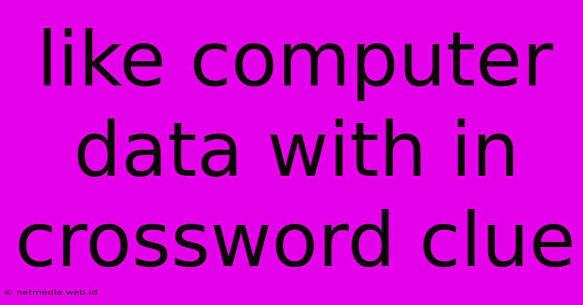 Like Computer Data With In Crossword Clue